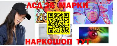 прущие крисы Камышлов