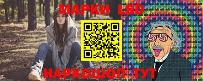 прущие крисы Камышлов