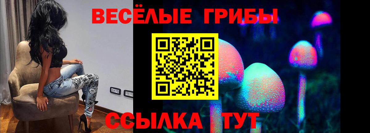 наркотики  Вход с VPN  Урус-Мартан  Галлюциногенные грибы Cubensis 