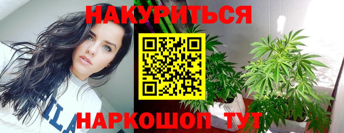 Бошки марихуана план  Шишки марихуана марихуана  Урус-Мартан  Конопля SATIVA & INDICA  Вход с VPN 